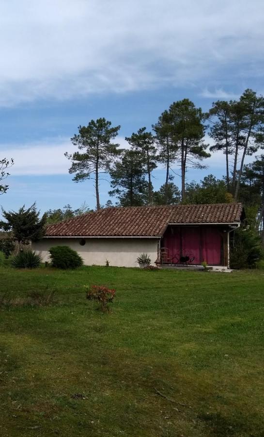Maison Confortable Avec Terrasse En Bois Au Calme Sans Vis A Vis , 2 Chambres, Sur Un Parc De 4000M2 Arbore Et Clos Pissos Eksteriør bilde